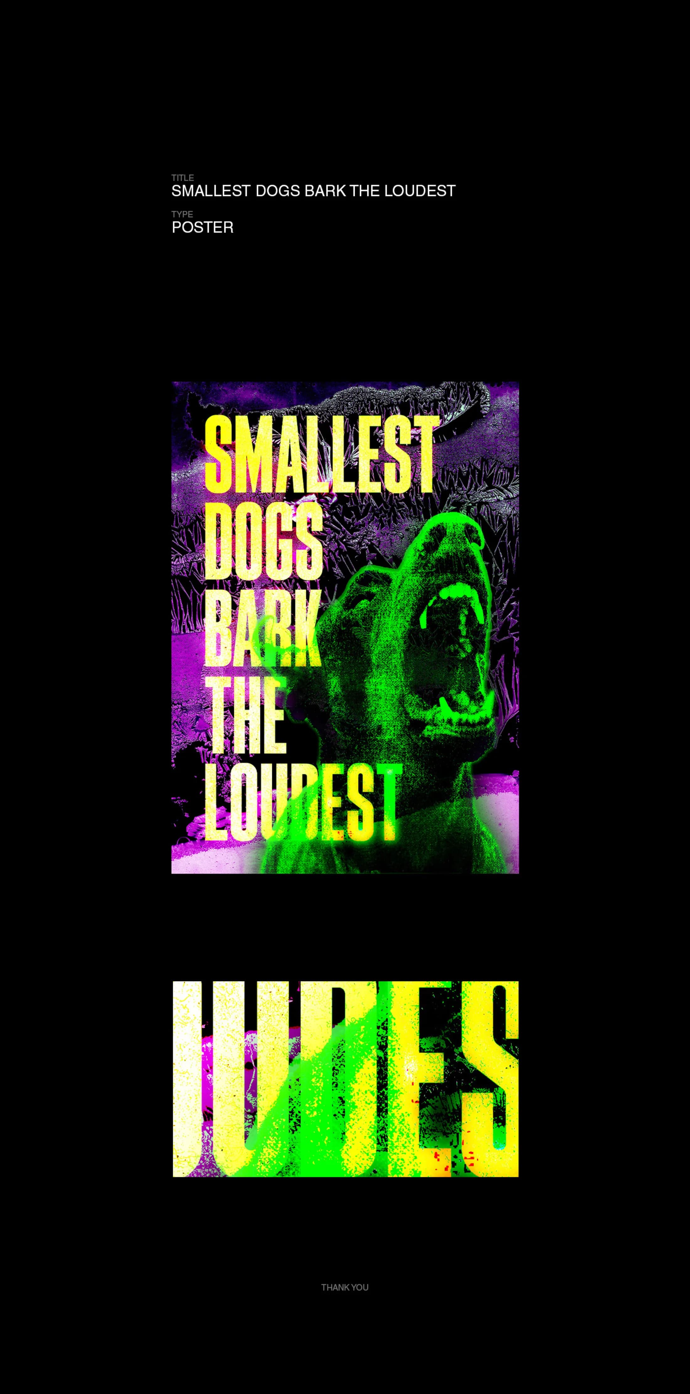 A design showcase for a poster.